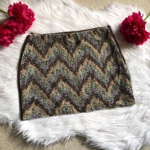 Zara Multicolor Chevron Mini Skirt